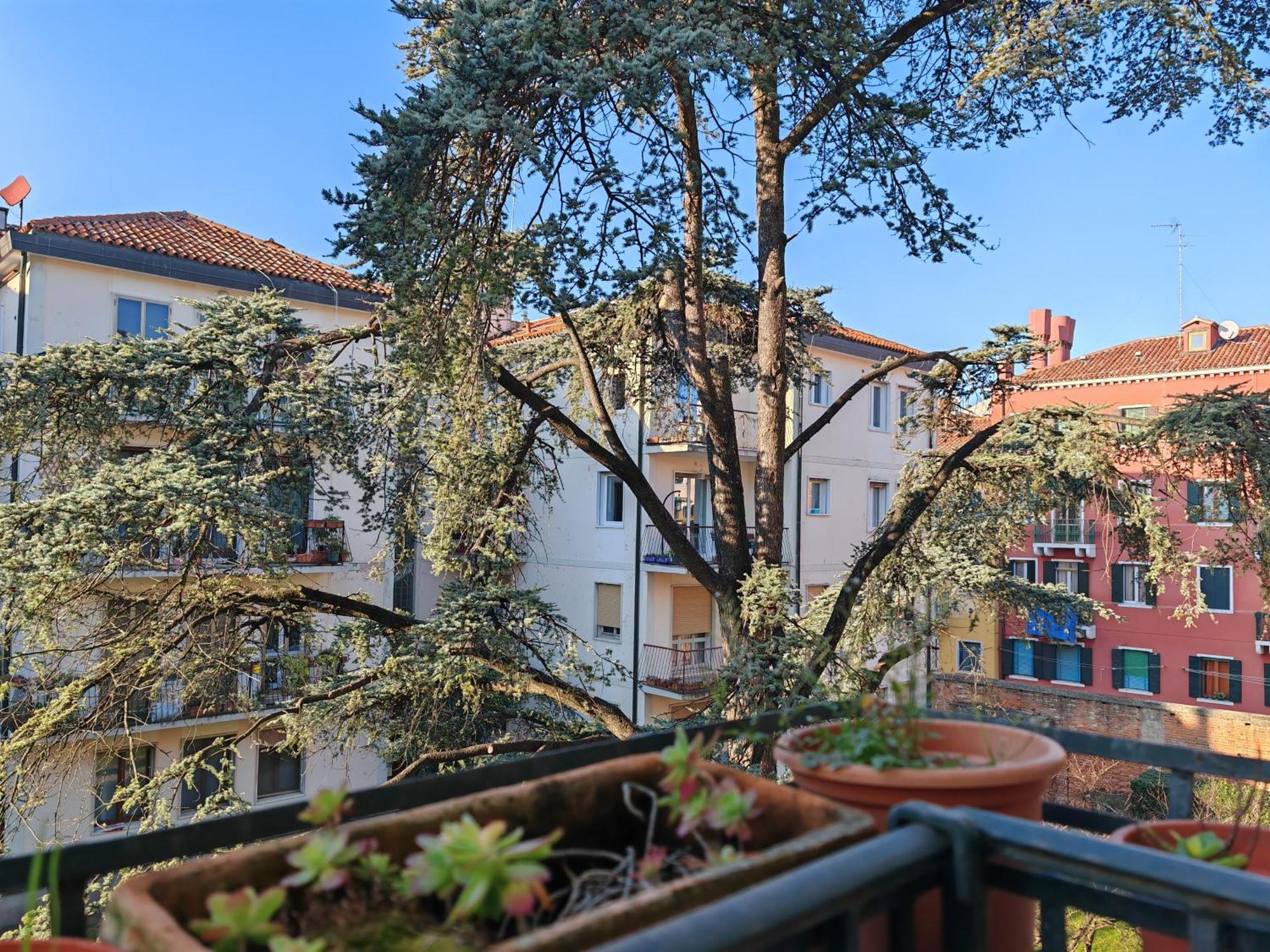 Goldmine Guest House 2 Venezia Rom bilde